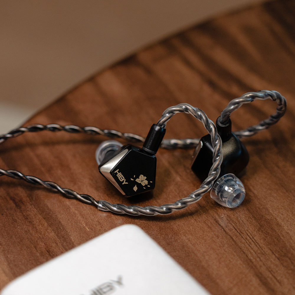 【トースターマン】FAudio Passion 中華イヤホン FAudio Passion レビュー - audio-sound@premium