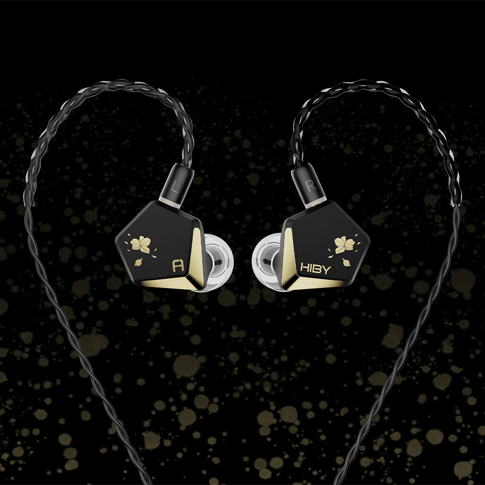 Hiby Music PROJECT ACE 2024年 10月購入品 Hiby Music PROJECT ACE 2024年 10月購入品